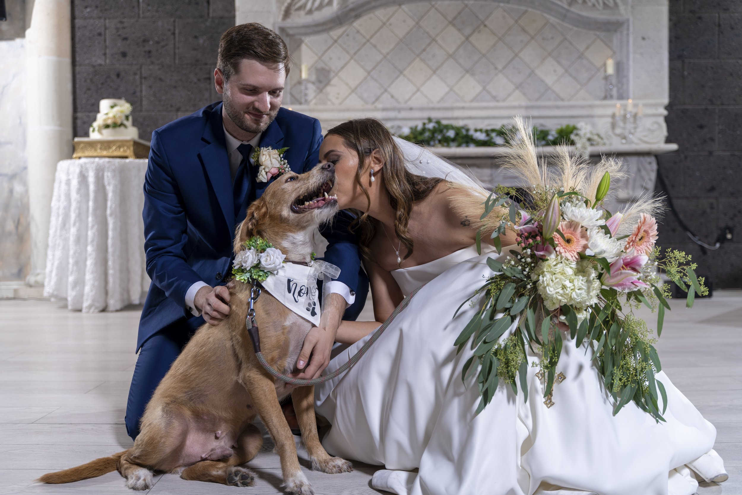 Pet friendly venue in El Paso T.X, Wedding venue El Paso T.X, Pet friendly, El Paso T.X Venue Ballroom, El Paso T.X Venue with Garden, Wedding Venue in El Paso T.X, Garden in El Paso T.X, Pet friendly Venue in El Paso T.X, Dancing in the clouds Weddi